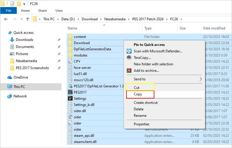 copy all patch files
